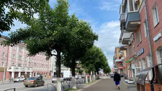 Жители Брянской области отмечают День дружбы и единения славян