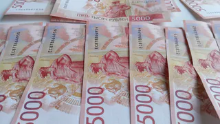 За 1,2 млн рублей наличными к пенсионерке приехал курьер: в Брянской области за неделю обманули 12 человек