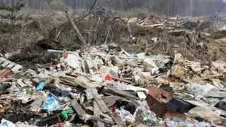 В мусорные вопросы на Брянщине вмешалась прокуратура
