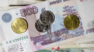 В Брянской области компанию «Держава» потребовали признать банкротом из-за долга