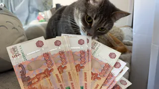 Обладатели знака ГТО в Брянской области имеют ряд льгот