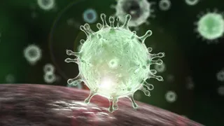 В Брянской области за сутки было подтверждено 89 случаев Covid-19