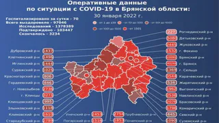 11 человек умерли от коронавируса в Брянской области за сутки