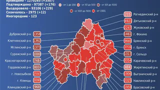 12 брянцев умерли от коронавируса за сутки