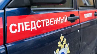 Следователи проверяют информацию о массовом отравлении детей в Брянске