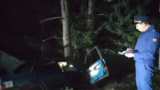 В Клинцовском районе ВАЗ врезался в дерево: водитель и пассажиры погибли
