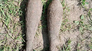В Комаричском районе Брянской области уничтожили две мины времен войны