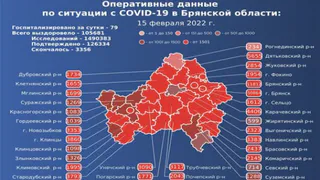 В Брянской области сокращается суточное число заражений COVID-19