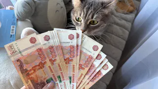 Статистики посчитали, кто в Брянской области зарабатывает больше всего