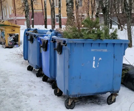 Брянцам запретили выбрасывать елки в мусорные контейнеры