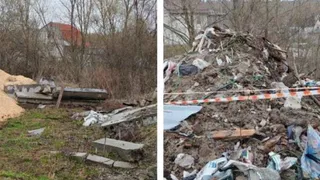 В Брянске прокуратура через суд потребовала наладить вывоз мусора в СНТ