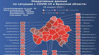 За сутки в Брянской области 487 человек заразились коронавирусом