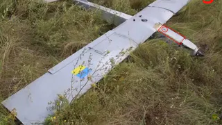 Украинский режим предпринял масштабную попытку атаки на Брянскую область