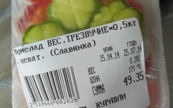 В Брянске обсуждают итоги прошедших выборов