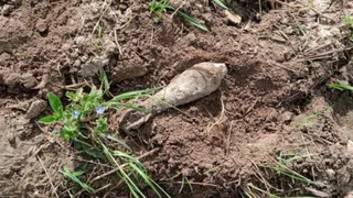 Под Брянском спасатели уничтожили боеприпас времён Великой Отечественной войны